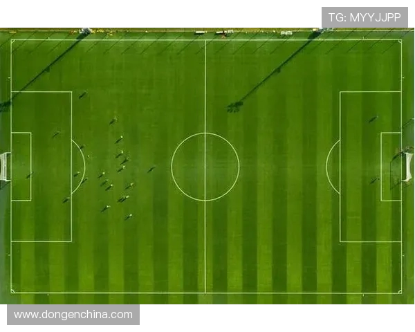 足球比赛中的场地适应与技术执行