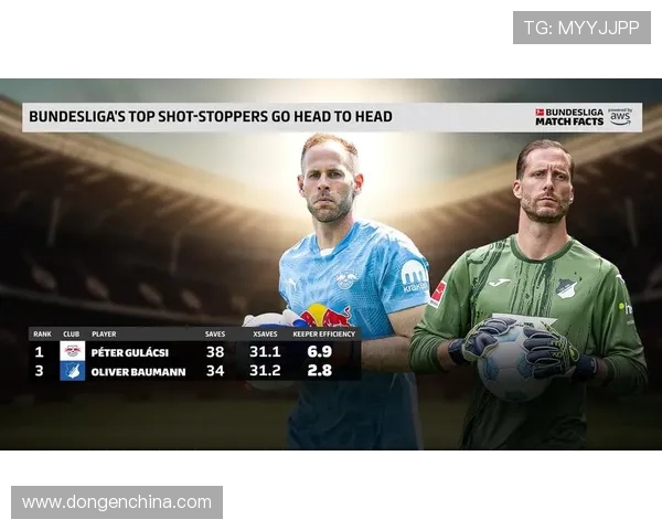 德甲球队球员名单大盘点,2025赛季全阵容一览无遗