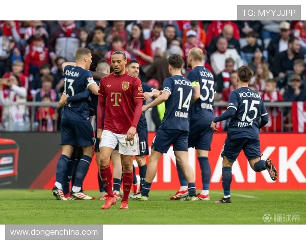 本赛季德甲降级球队回顾：失利原因与未来走势